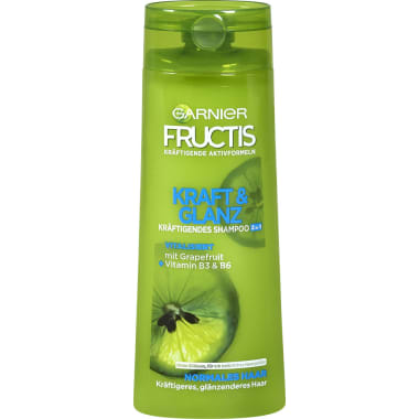 Garnier Fructis Kraft & Glanz 2 in 1 Shampoo