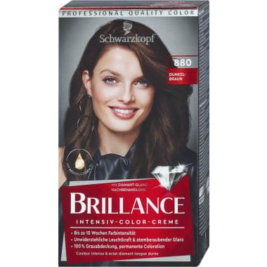 Brilliance Brillance Dunkelbraun