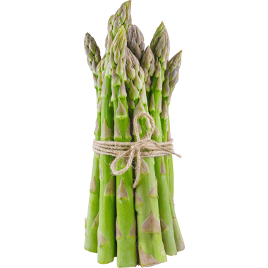 Spargel grün 400g Bund
