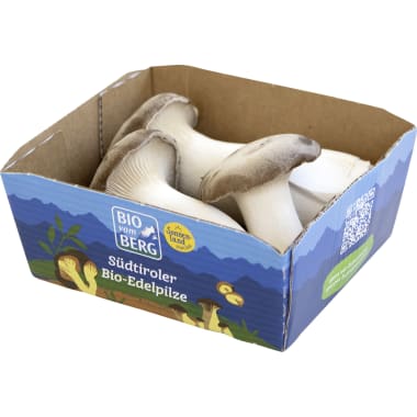 BIO vom BERG Bio Kräuterseitling