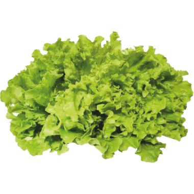 M-BIO BIO Gentile Salat