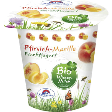 Kärntnermilch Bio Wiesenmilch Joghurt Pfirsich-Marille