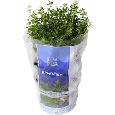 BIO vom BERG Bio Thymian