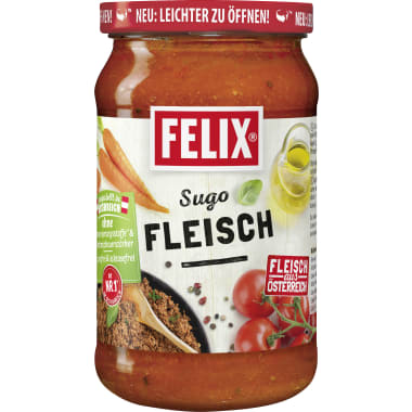 Felix Sugo Fleisch
