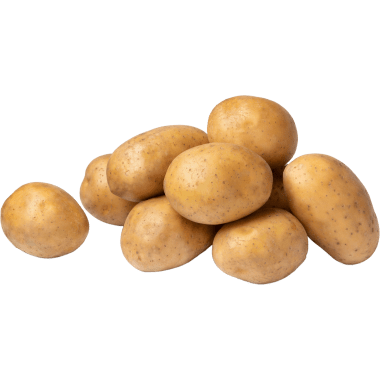 M Kartoffeln speckig festkochend
