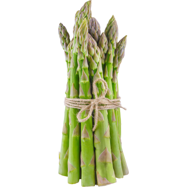 M-BIO BIO Spargel Grün