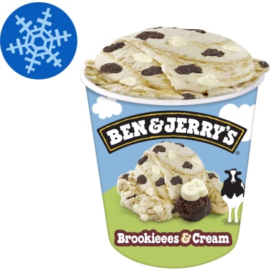 Ben & Jerry's Brookieees & Cream Pint