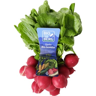 BIO vom BERG Bio Radieschen