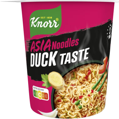 Knorr Asia Noodles Ente