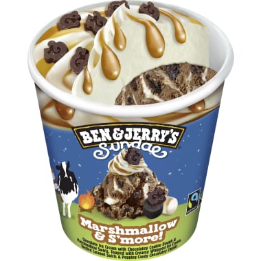 Ben & Jerry's Marshmallow & S'more