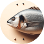 Fisch