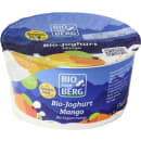 Bio Fruchtjoghurt Mango