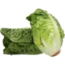 Romana Salatherzen Mini