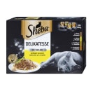 Katze DelGel GeflVar 12x85g