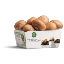 Bio Steinchampignons