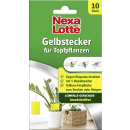 Topfpflanzen Gelbstecker