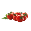 Cherrytomaten