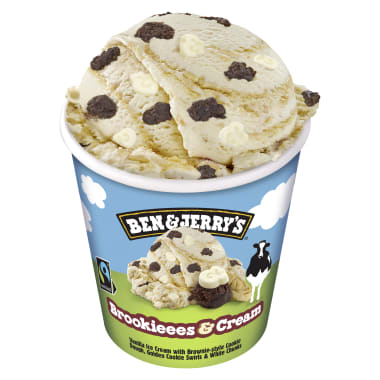 Ben & Jerry's Brookieees & Cream Pint