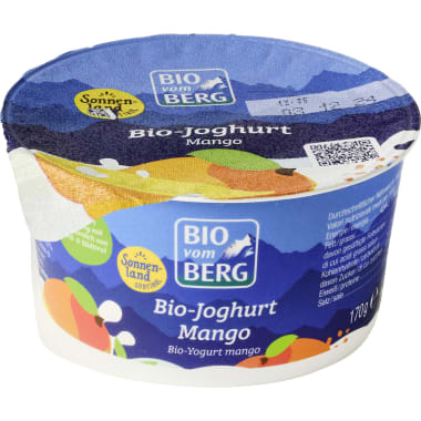 BIO vom BERG Bio Fruchtjoghurt Mango