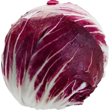 Radicchio