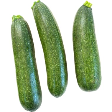 M-BIO Bio Zucchini