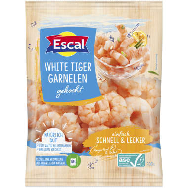 Escal White Tiger Garnelen ASC