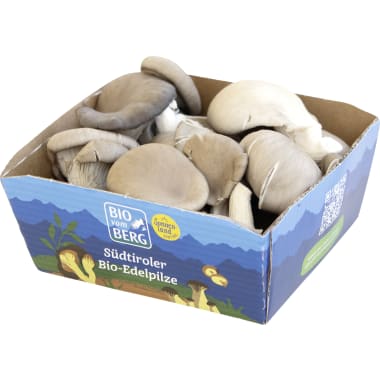 BIO vom BERG Bio Austernpilze Tirol