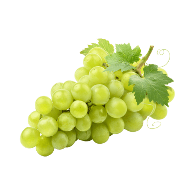 BIO Trauben weiß kernlos