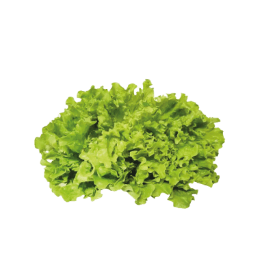 M-BIO BIO Gentile Salat