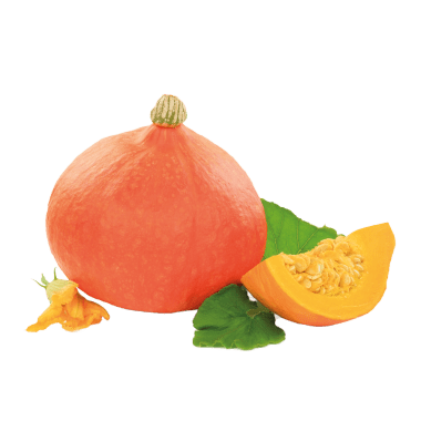 M-BIO BIO Hokkaido Kürbis