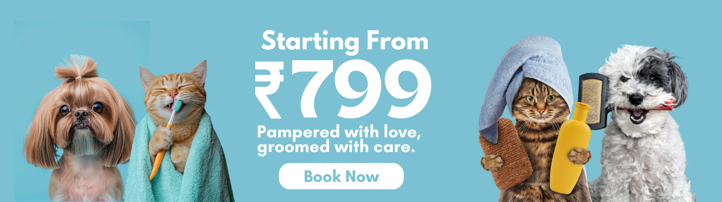 Grooming in 799