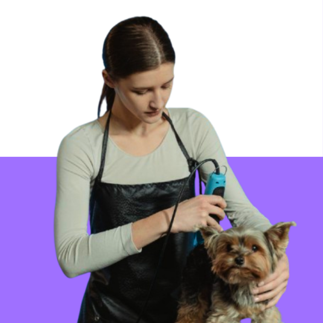 Professional Pet Grooming