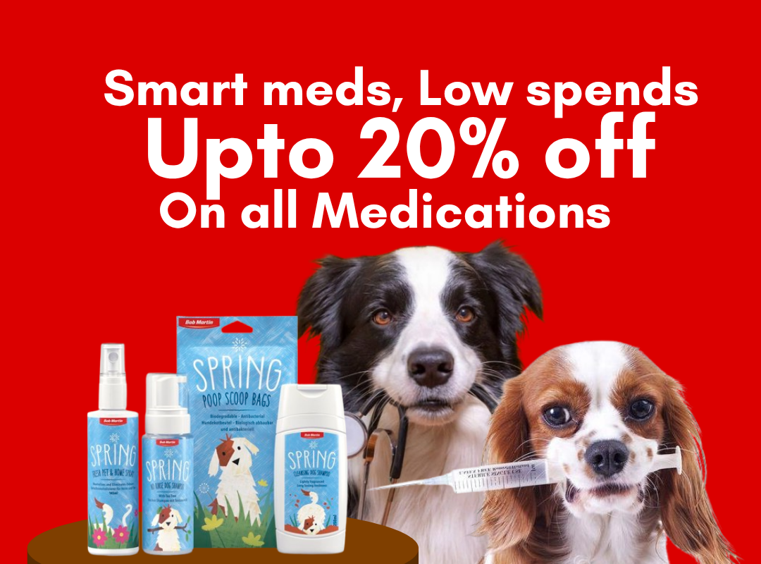 Licensed veterinarian examining pet at People n Pets clinic in Siliguri - professional pet healthcare