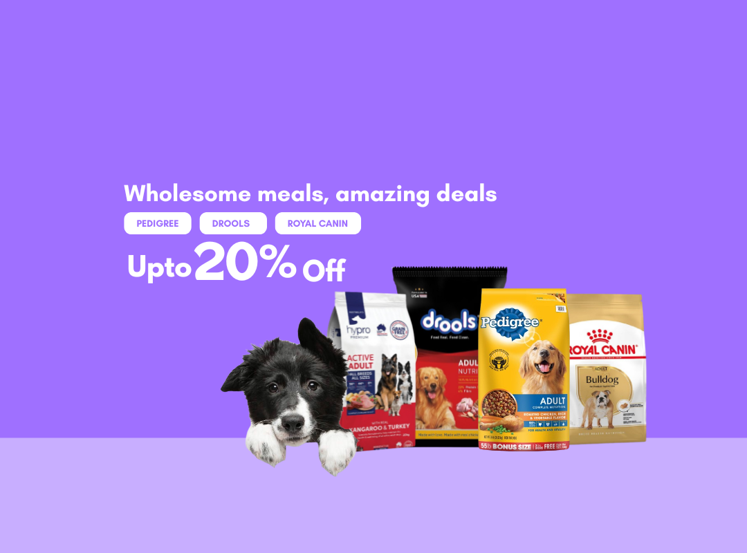 15% Off on All Products