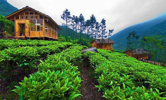 Agro Gunung Mas - Tempat Wisata di Bogor