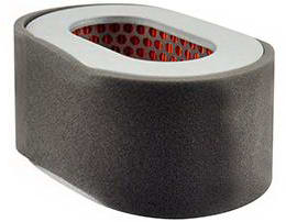 Air Filter Element w/ Foam Wrap