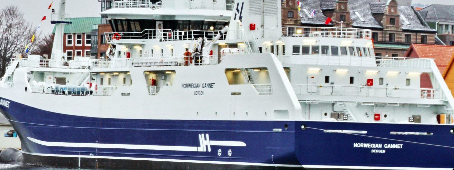 Norwegian Gannet