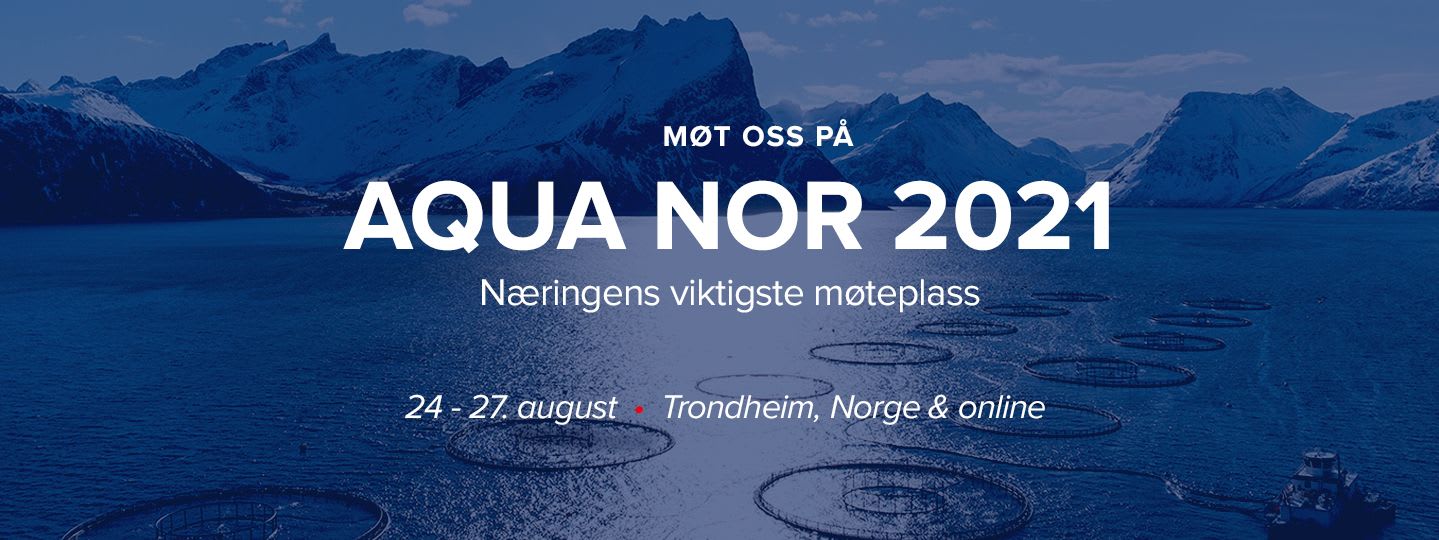 Følg oss på
