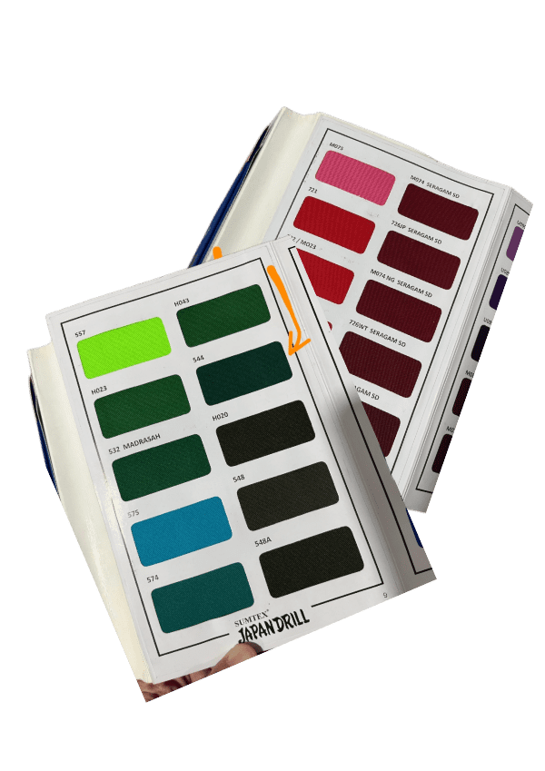 Phase 2: Color palette selection showing Red, Green, and Black options