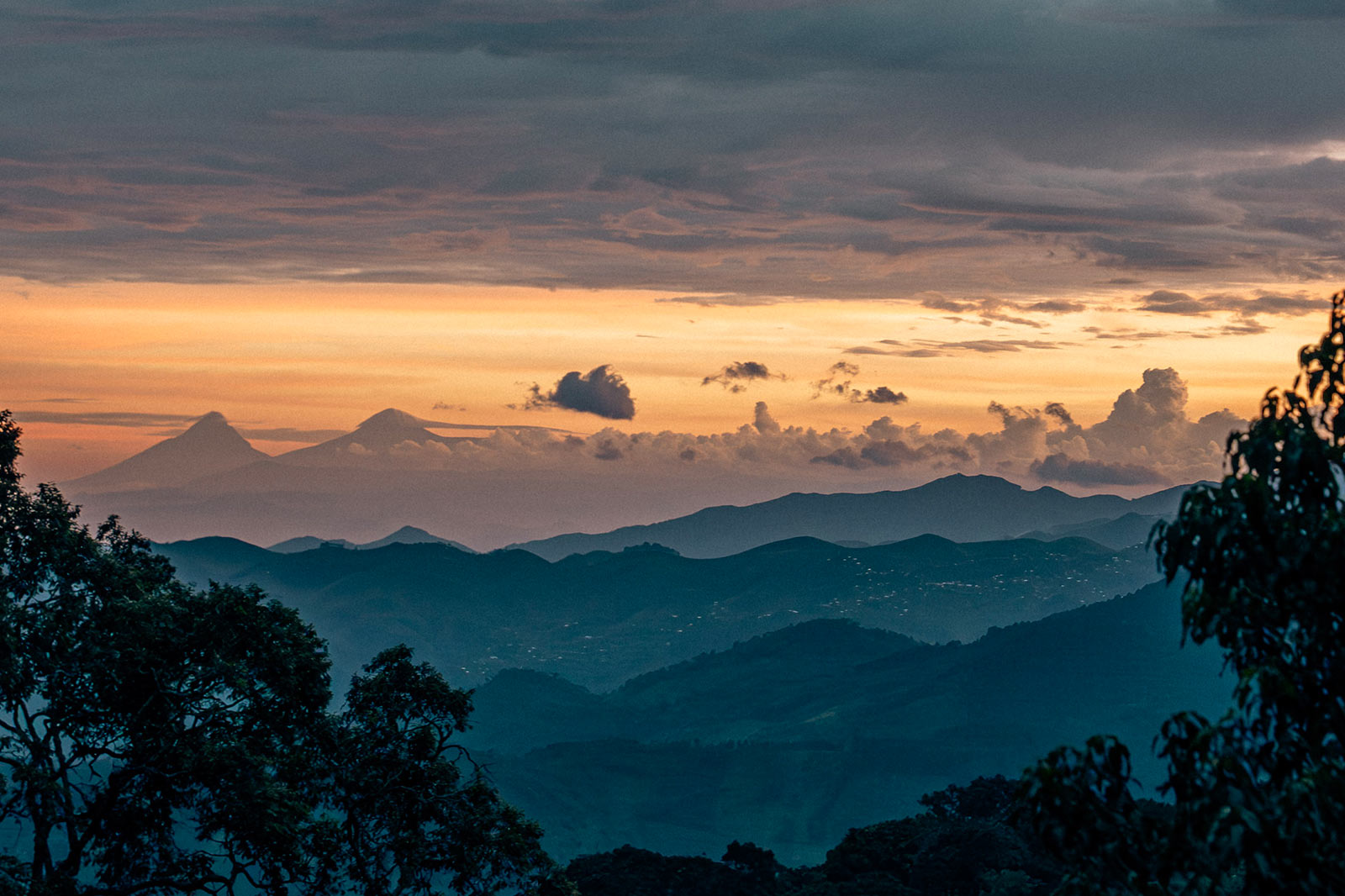 3-Day Nyungwe Forest & Lake Kivu Adventure