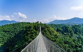 Nyanza Museum & Canopy Walk Day Tour