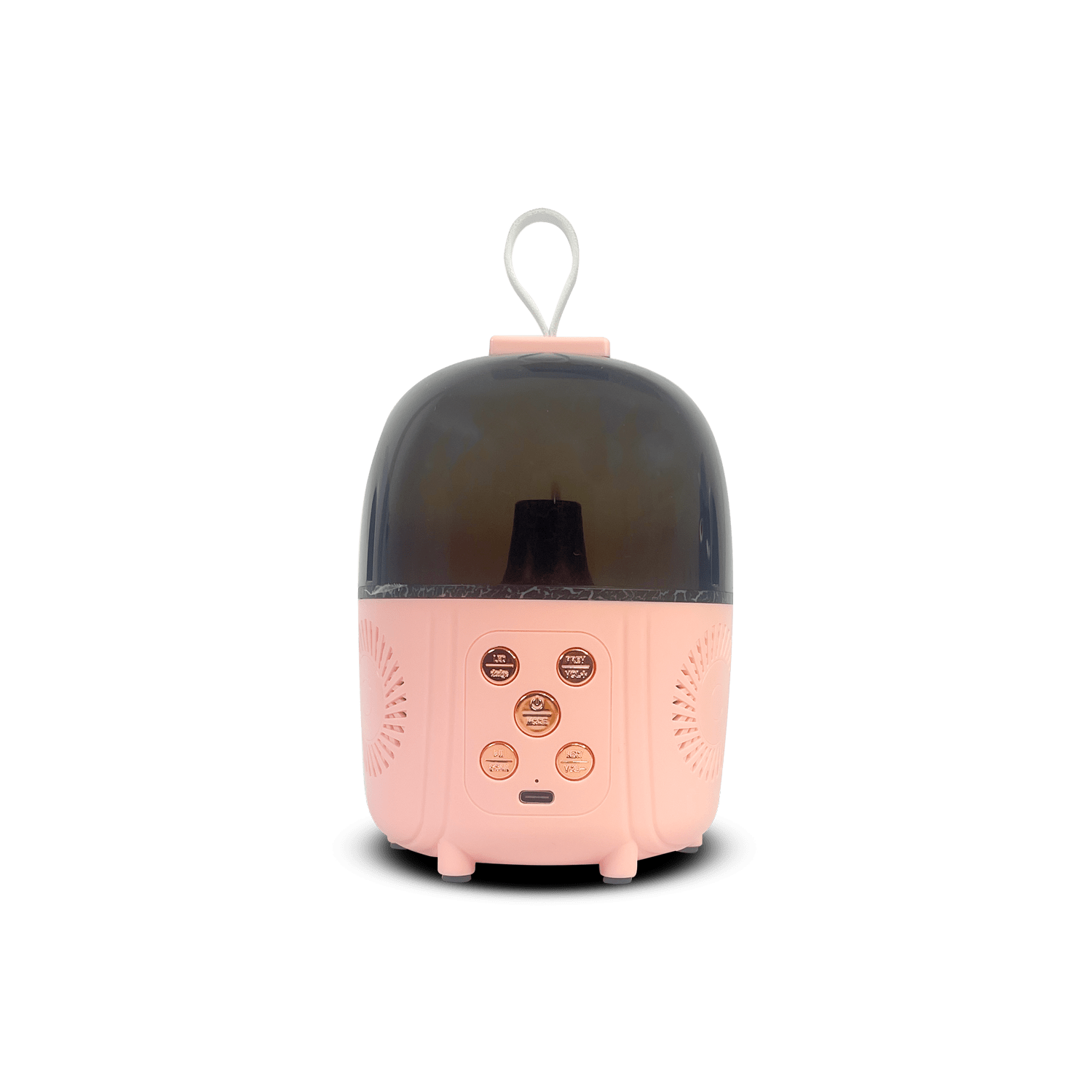 PARLANTE 2 MICRIFONO Q-3 BLACK