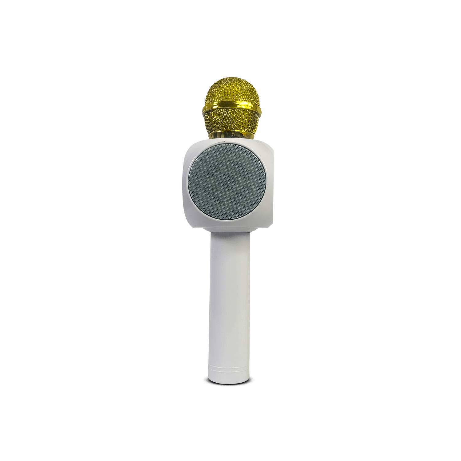 PARLANTE MODEL: WS 1816 BLACK