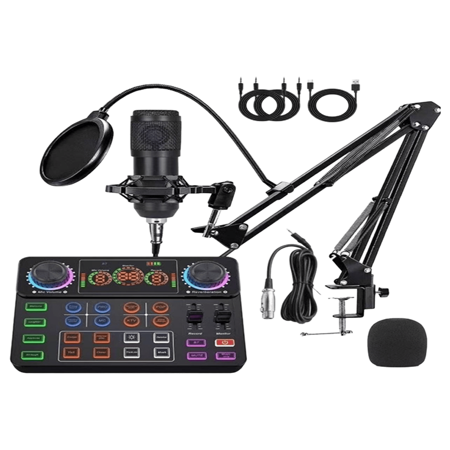 Professional Condenser Microphone