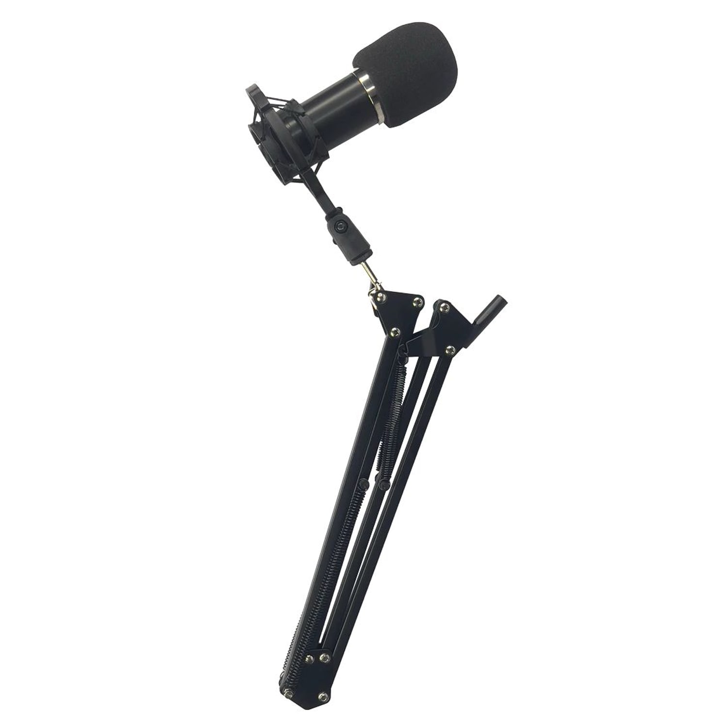 PROFESSIONAL RECORDING STAN MICROPHONE BM800+ USB