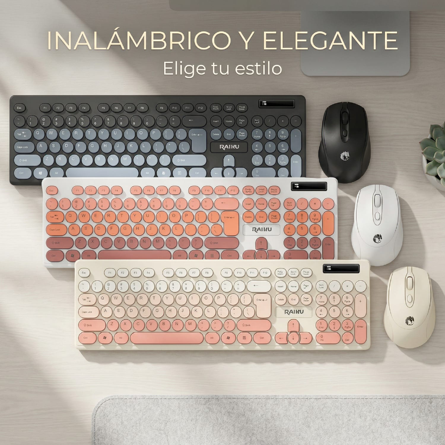 Combo Teclado + Mouse  901