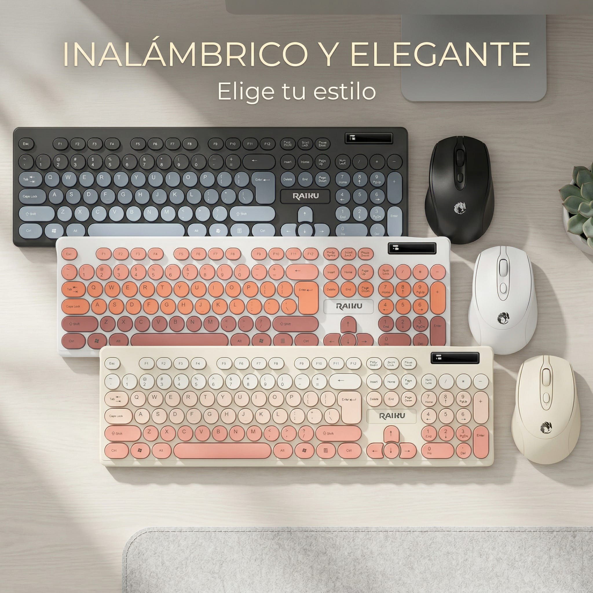 Combo Teclado + Mouse  901