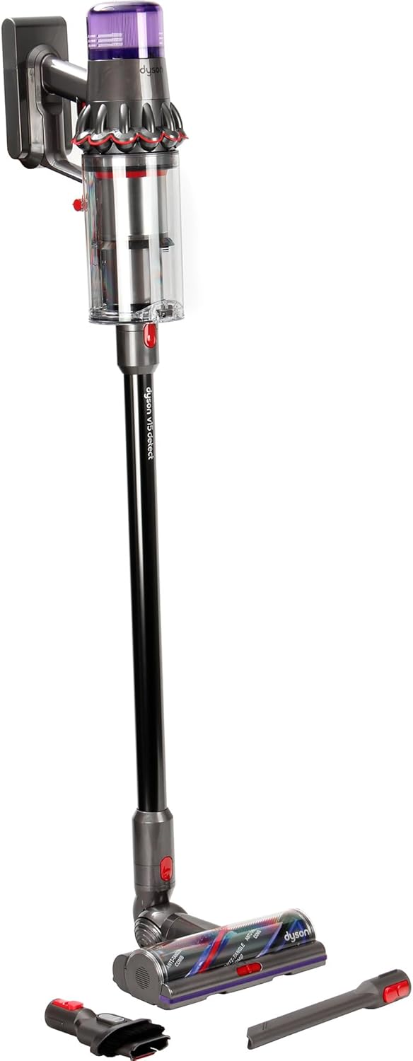 Dyson Detect