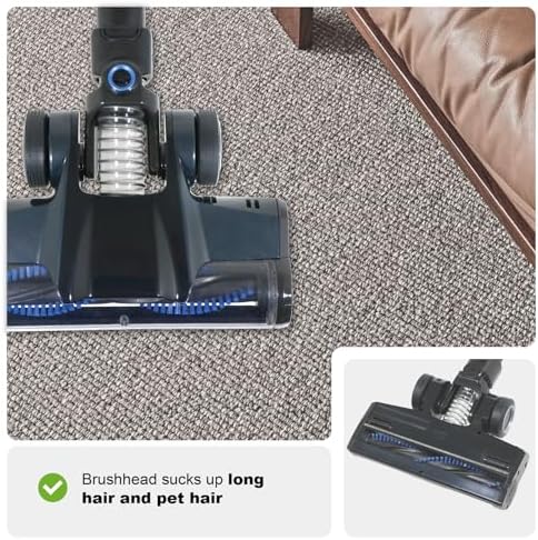 Vue 6 de Sparesgo Tete De Brosse