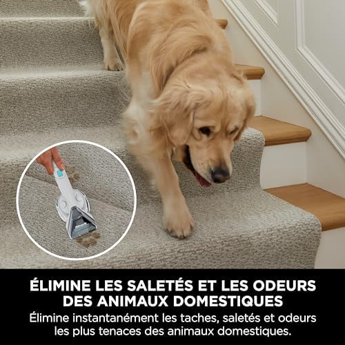 Vue 5 de Shark Stainstriker Nettoyeur De